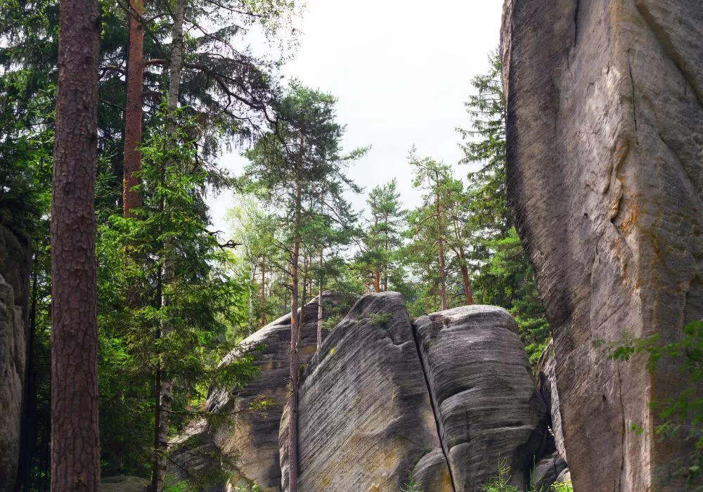 Adršpach-Teplice Rocks National Nature Reserve