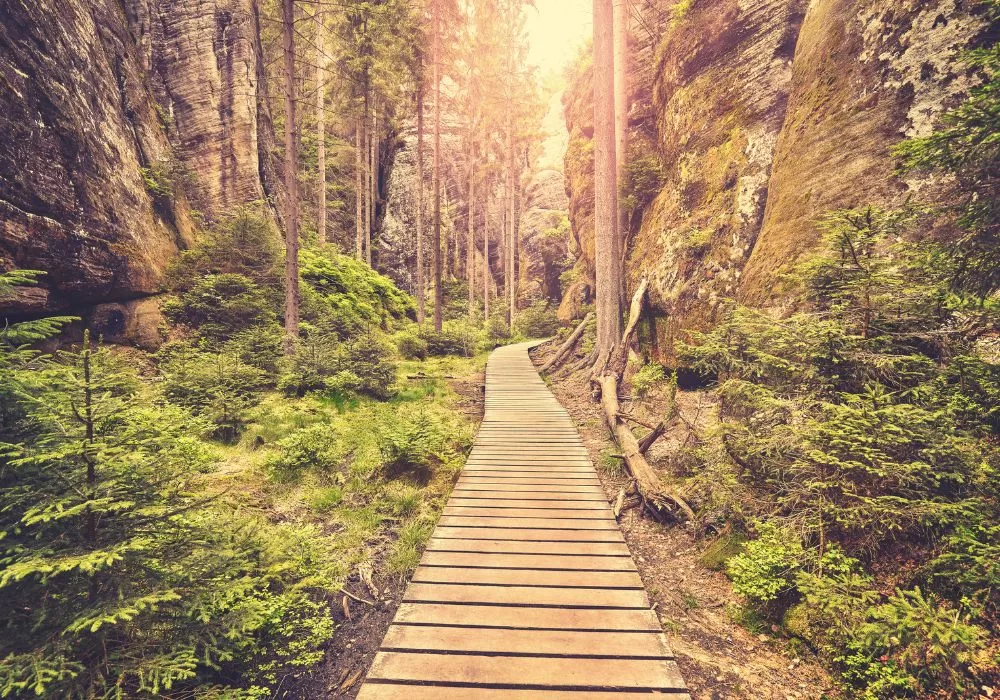 Teplice nad Metuji National Park