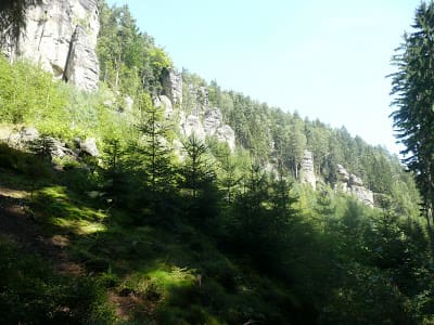 Adršpach-Teplice Park Forests