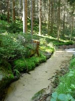 Teplice nad Metuji streams