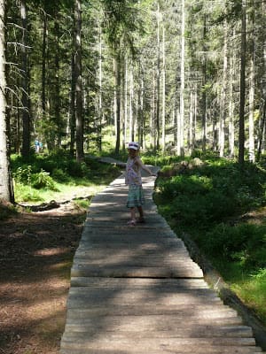 Adršpach-Teplice Rocks Board Walks