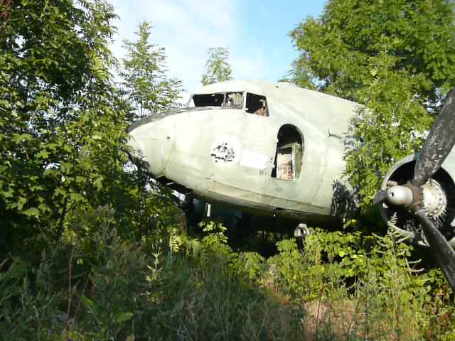 DC-3 Abandoned in the bushes