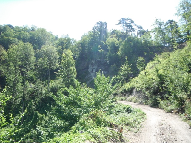 Off Road route to Kostanjica