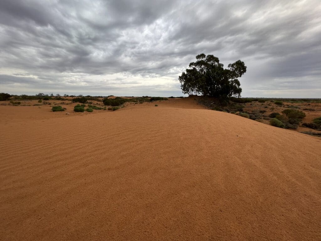 Perry Sandhills, Wentworth NSW