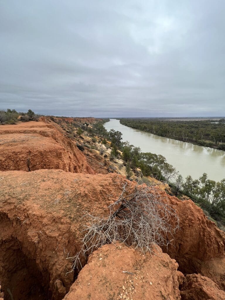 Big Views of the Murray at Headings Cliffs