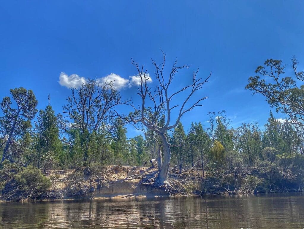 Little Desert Horseshoe Bend River Wimmera Mallee