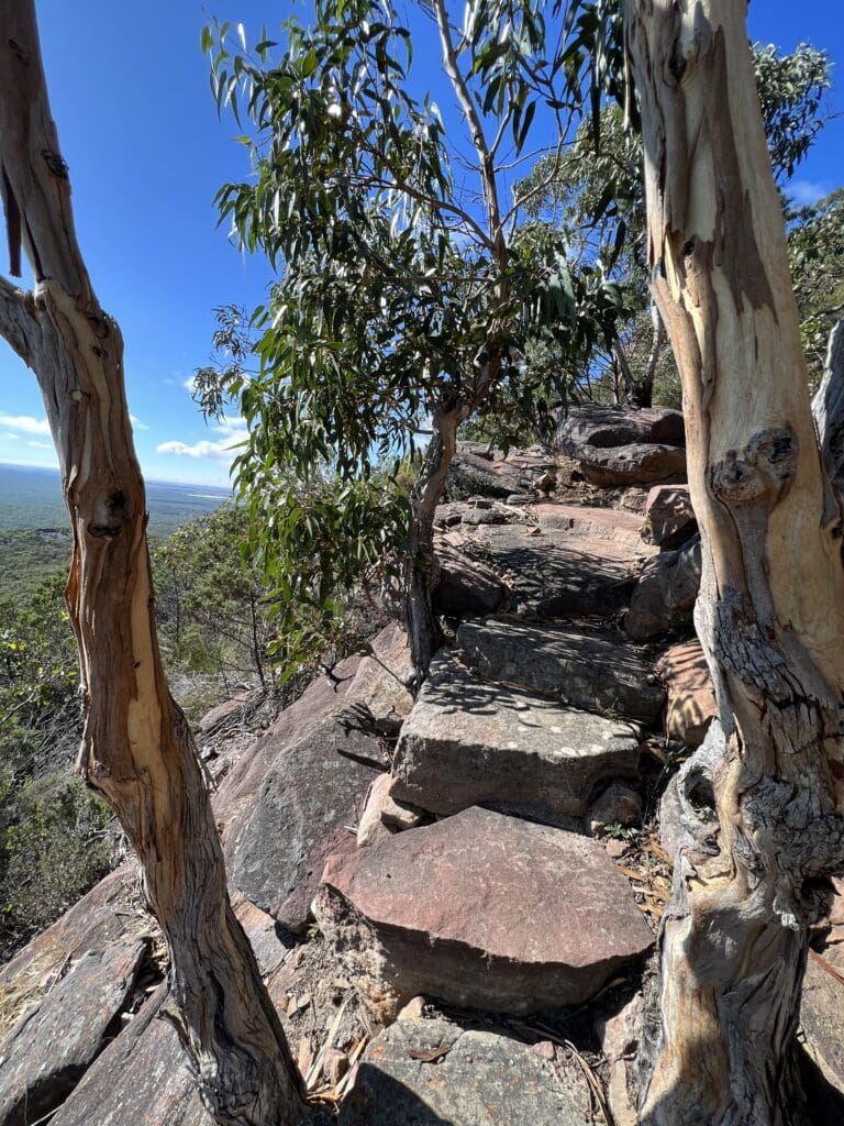 Rock Stair Ascent - PArt of the Grampians Peak Trail (GPT)