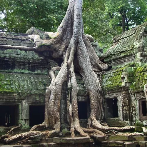 Restoration of Angkor Wat