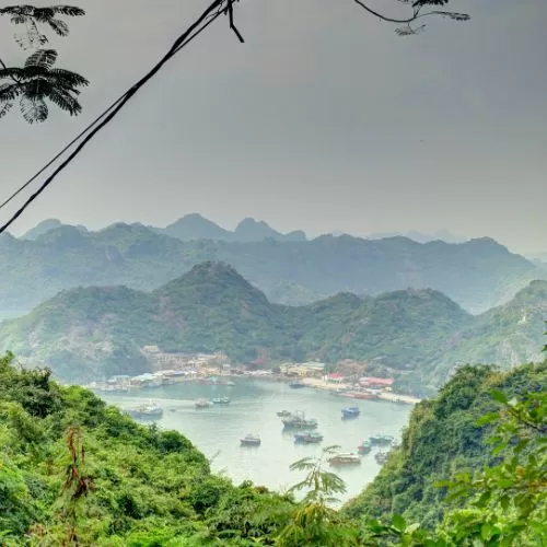 Explore Cat Ba Island