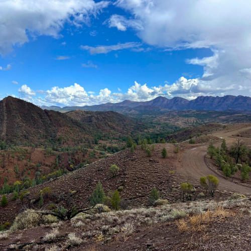 The Ancient Rocky Landscapes of Ikara-Flinders Ranges