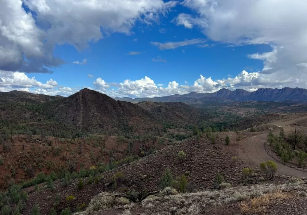 Brachina Gorge Geological Trail