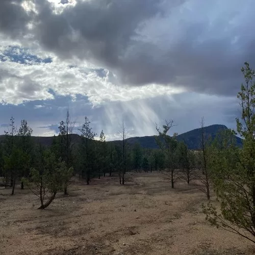 What are the Ikara-Flinders Ranges