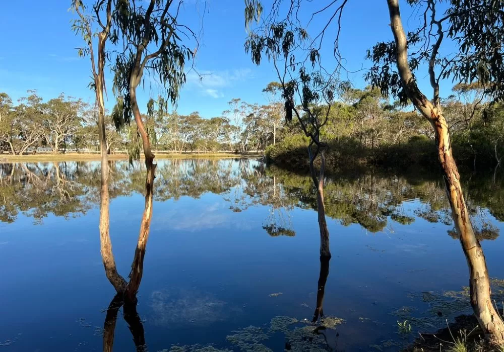 Bordertown Recreation Lake