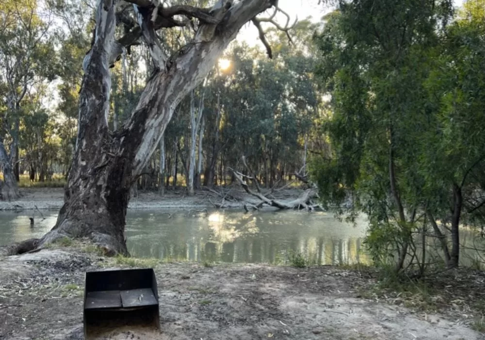 Mamanga camp Murrumbidgee River Firepits