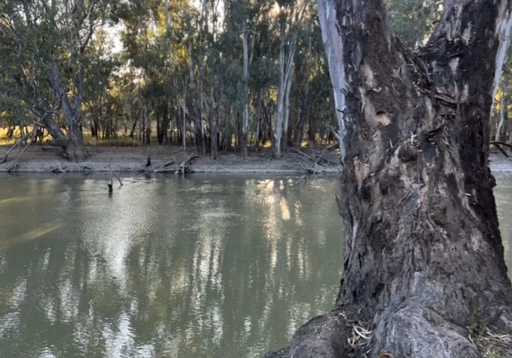 Murrumbidgee River NSW Camping Site