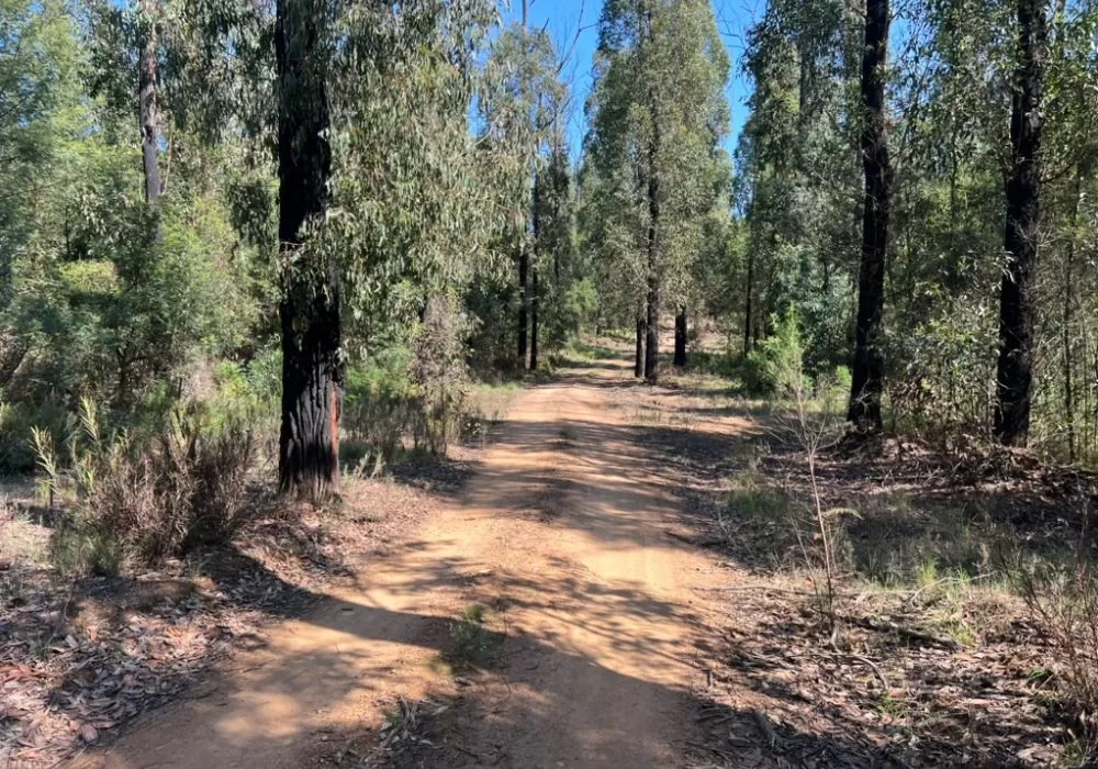 Sandy Point Track into Campground