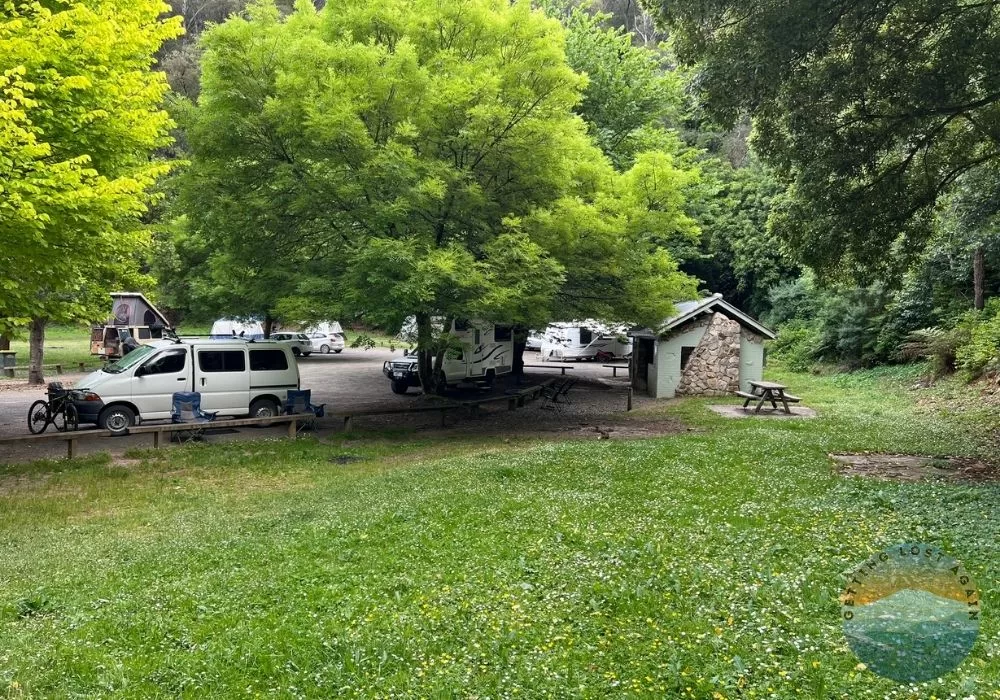 BBQ at Walhalla Campground