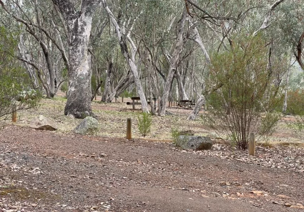 Camp sites at McKillops Bridge Campground Benches and Firepits