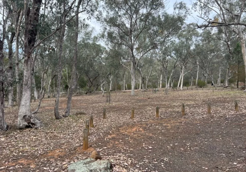 Campground Parks Victoria McKillops Bridge