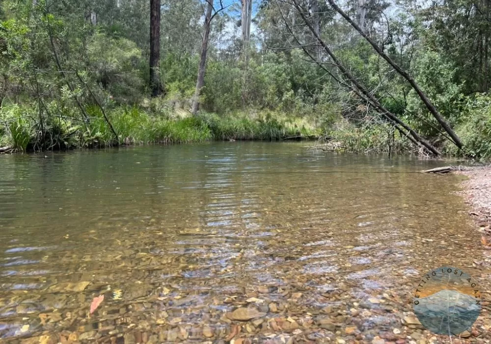 Swimming and Camping on Donnellys Creek Gippsland