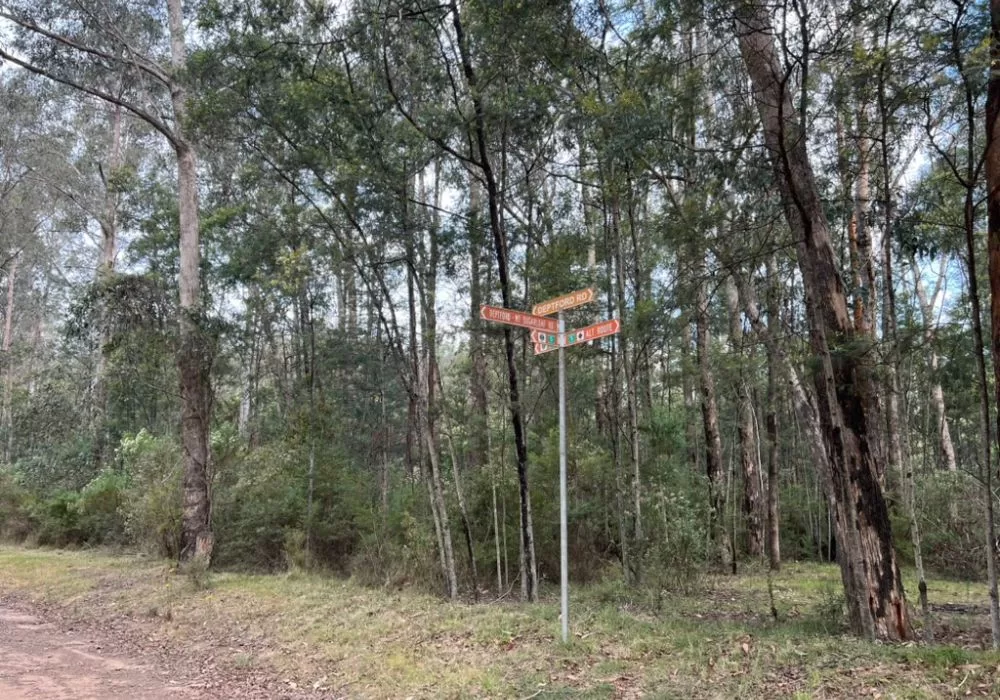 Deptford State Forest 4WD touring