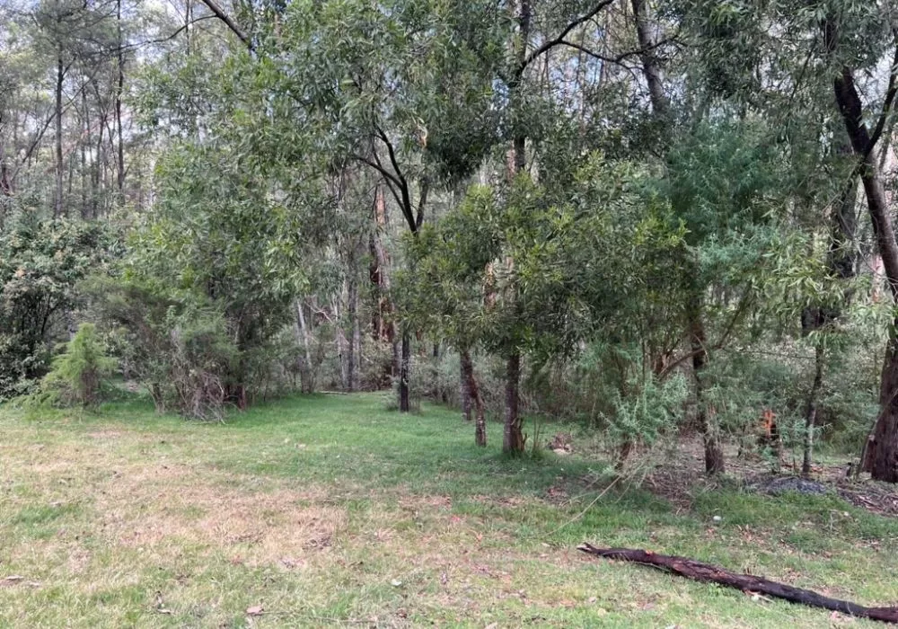 Deptford State forest Camp