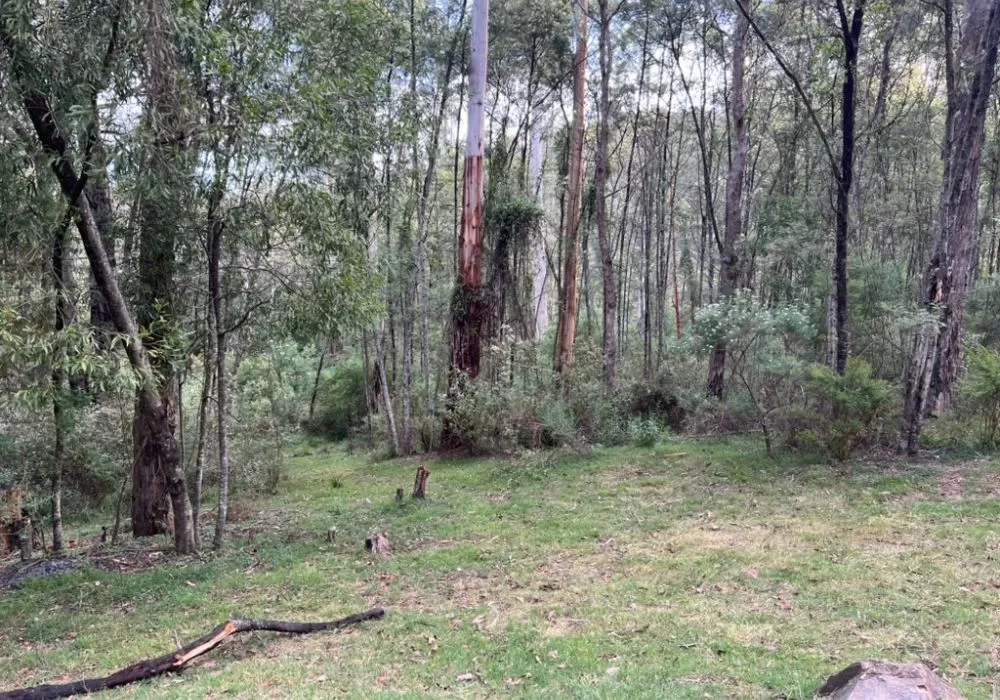 Deptford State forest Camping Area