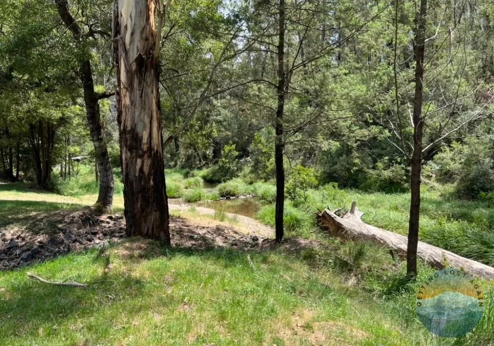 Donnelly Creek at the Campground for swimming