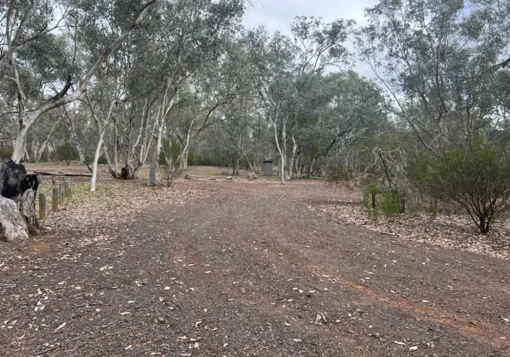 Access track at McKillops Camp Ground