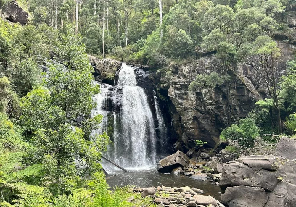 Stevensons Falls Gellibrand River Otways National Park