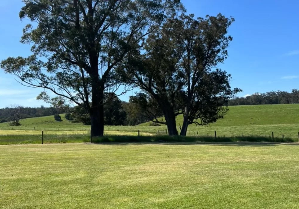 View over the farm